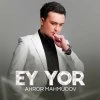 Ahror Mahmudov — Ikki vujud