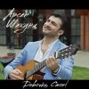 Арсен Шахунц — Девочка, Стоп