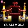 Muhammad Yusuf — Mendan salom