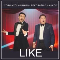 Rashid Halikov