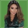 Dilnoz — Baxtlimiz