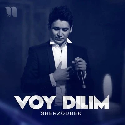 Sherzod Bek — Voy dilim