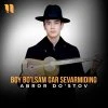 Abror Do'stov — Boy bo'lsam gar sevarmiding