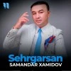 Samandar Xamidov — Sexrgarsan