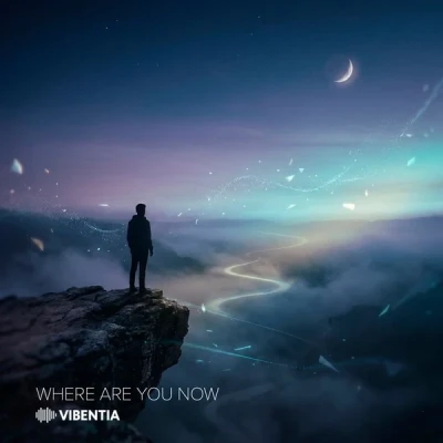 Vibentia — Where Are You Now