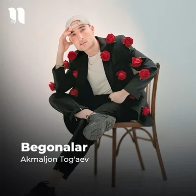 Akmaljon Tog'aev — Begonalar