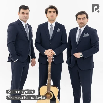 Aka-uka Farhodovlar — Kulib qo'ydim