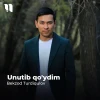 Bekzod Turdiqulov — Unutib qo’ydim