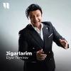 Elyor Temirov — Jigarlarim