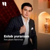 Feruzbek Rahimov — Eslab yurarsan