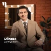 Zarif Qodirov — Dilnoza